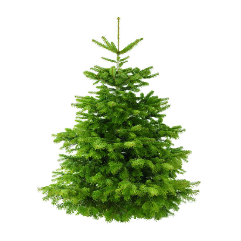 Green Tuscany Tinsel Artificial Christmas Tree