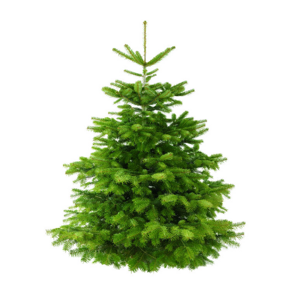 Green Tuscany Tinsel Artificial Christmas Tree
